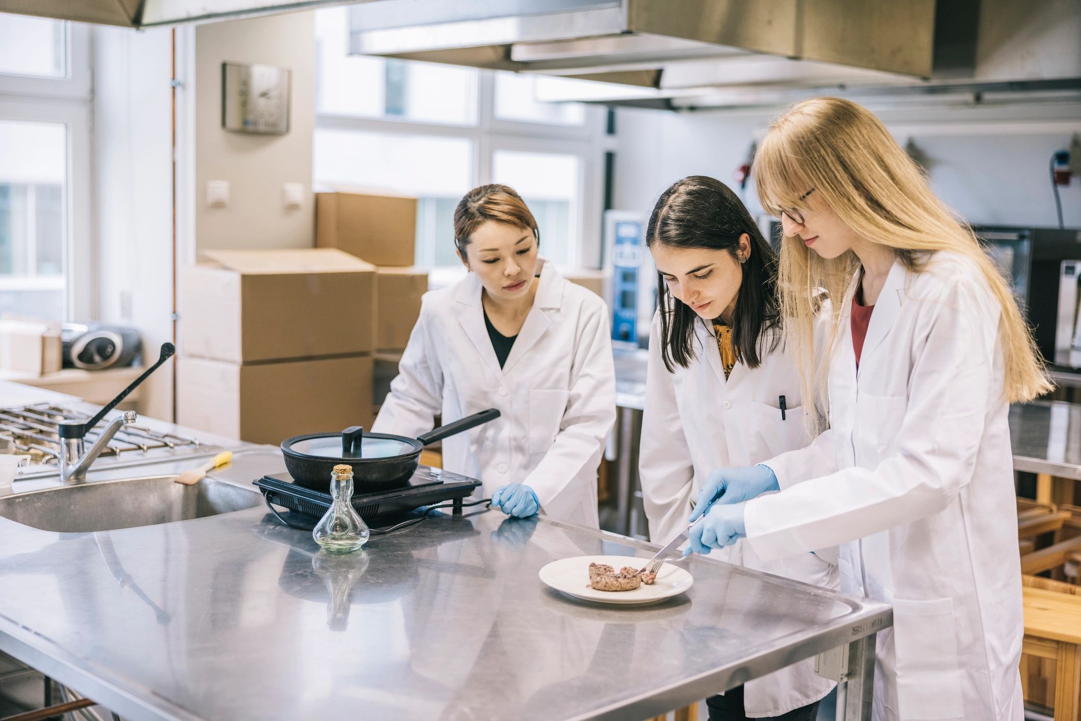 Food scientists evaluating samples in a laboratory setting