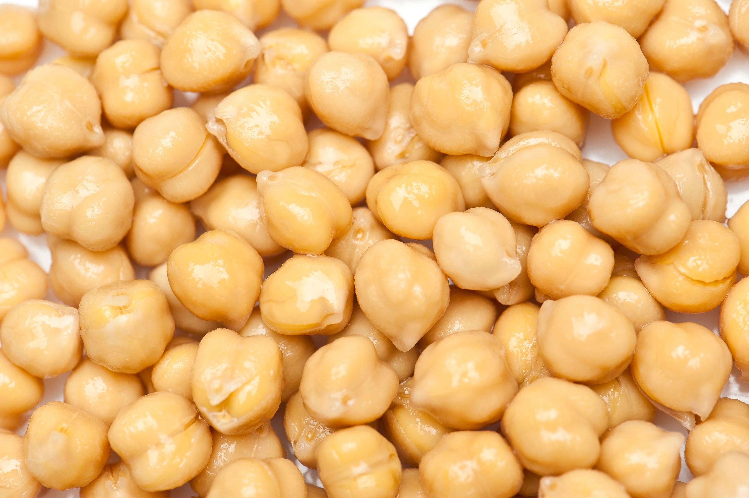 Close-up of dried chickpeas