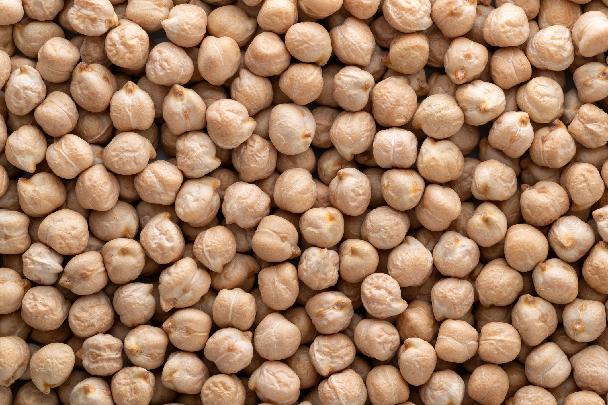 Close-up of dried chickpeas representing pulse-based ingredient inputs