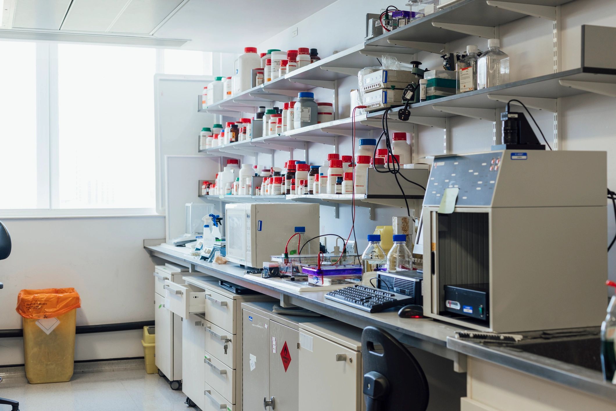 Food science lab workspace used for analytical screening